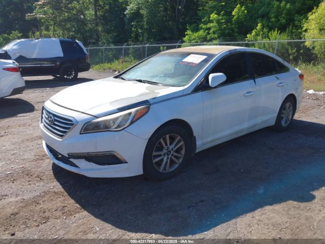 5NPE24AF6FH226906 Hyundai SONATA SE