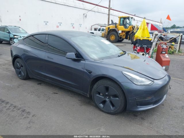 2023 TESLA MODEL 3 5YJ3E1EB1PF391590 Photo 0
