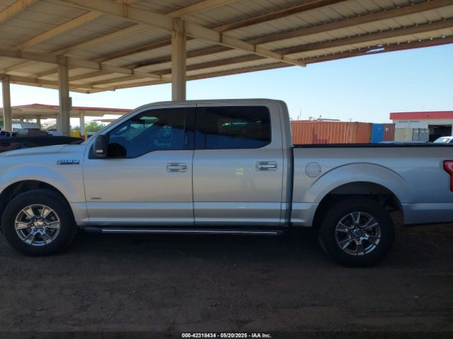 1FTEW1CP5FKD81814 Ford F-150 Xlt