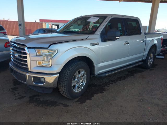 1FTEW1CP5FKD81814 Ford F-150 Xlt