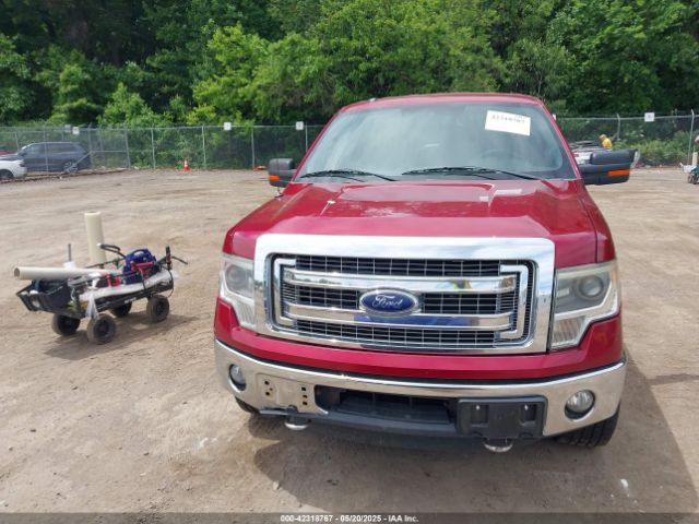 1FTFW1ETXEKG16169 Ford F-150 Xlt
