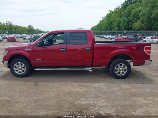 1FTFW1ETXEKG16169 Ford F-150 Xlt