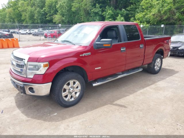 1FTFW1ETXEKG16169 Ford F-150 Xlt