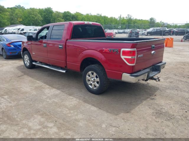 1FTFW1ETXEKG16169 Ford F-150 Xlt