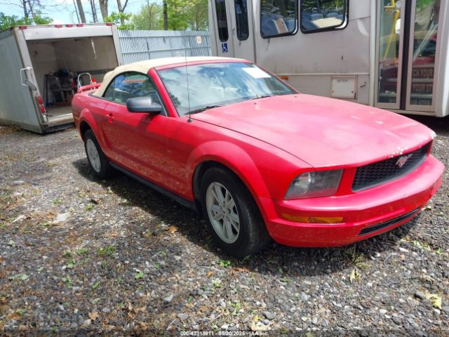 2005 FORD MUSTANG 1ZVFT84N455215653