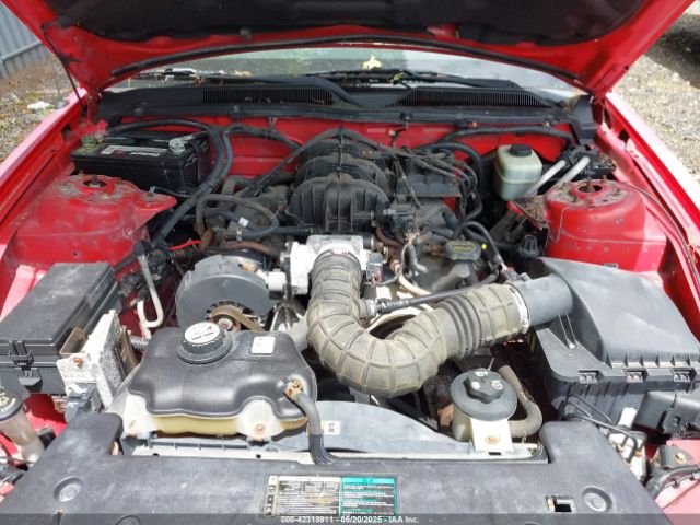 2005 FORD MUSTANG 1ZVFT84N455215653 Photo 9