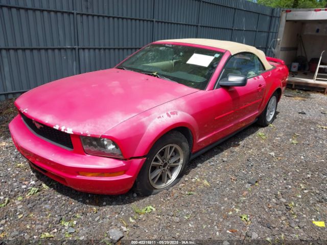 2005 FORD MUSTANG 1ZVFT84N455215653 Photo 1