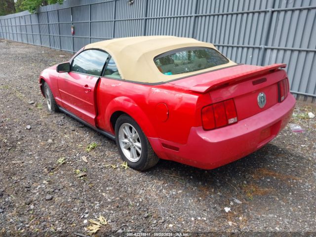2005 FORD MUSTANG 1ZVFT84N455215653 Photo 2