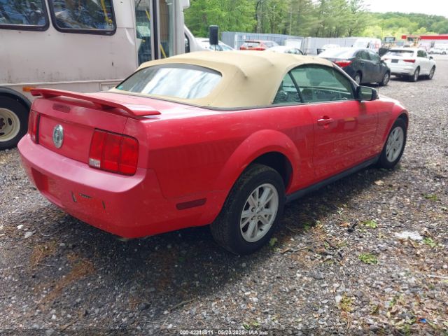 2005 FORD MUSTANG 1ZVFT84N455215653 Photo 3