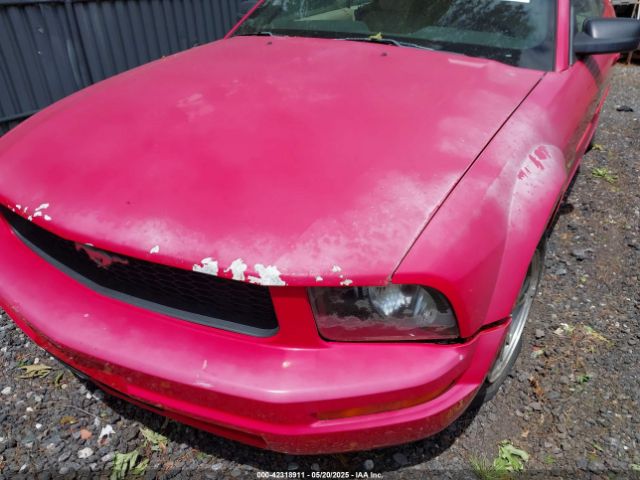 2005 FORD MUSTANG 1ZVFT84N455215653 Photo 5
