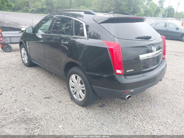 2011 CADILLAC SRX 3GYFNGEY2BS559493 Photo 2