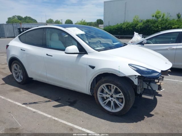 2023 TESLA MODEL Y 7SAYGDED2PF931521
