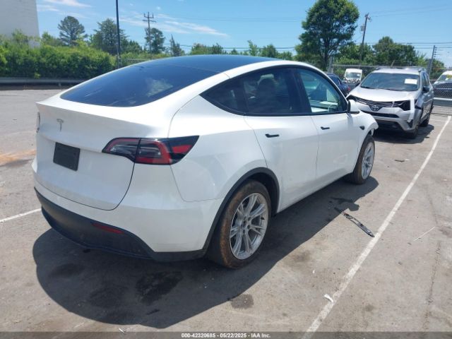 2023 TESLA MODEL Y 7SAYGDED2PF931521 Photo 3