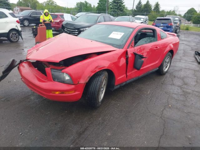 2005 FORD MUSTANG 1ZVFT80N555110559 Photo 1