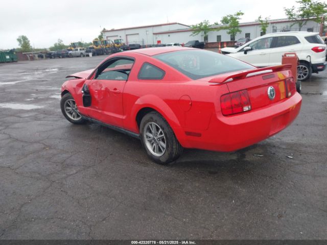 2005 FORD MUSTANG 1ZVFT80N555110559 Photo 2