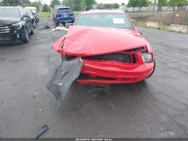2005 FORD MUSTANG 1ZVFT80N555110559 Photo 5