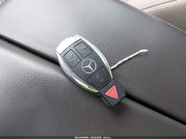 2013 MERCEDES-BENZ GL 450 4JGDF7CE0DA193701 Photo 10