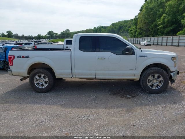 1FTEX1EP2FFD12405 Ford F-150 Xlt