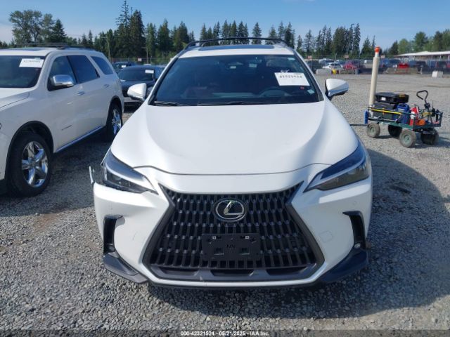 JTJGKCEZ0S5029339 Lexus Nx 350h Premium