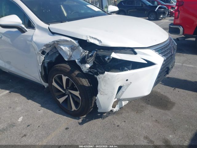 2021 LEXUS NX 300H JTJGJRDZ8M2168971 Photo 5