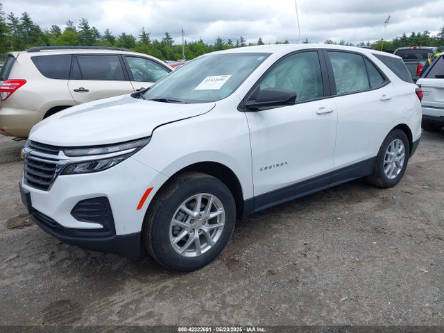 3GNAXSEG1PL124784 Chevrolet lsd