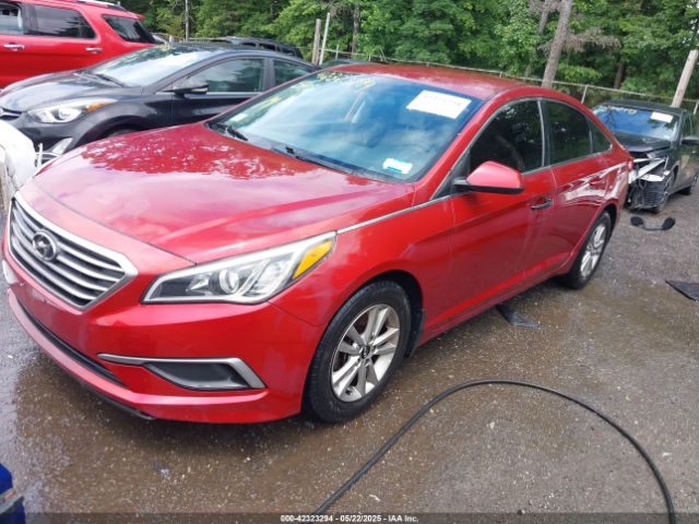 5NPE24AF3GH430290 Hyundai SONATA SE