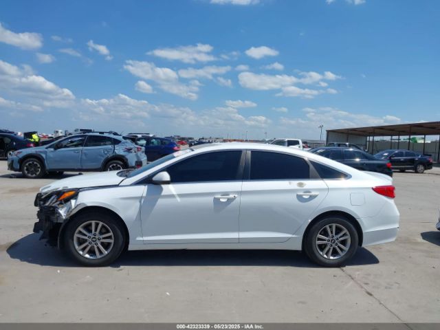 5NPE24AFXGH393836 Hyundai Sonata