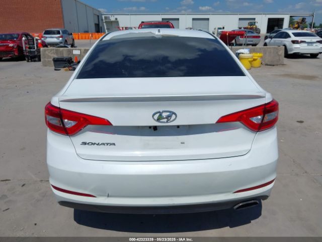 5NPE24AFXGH393836 Hyundai Sonata