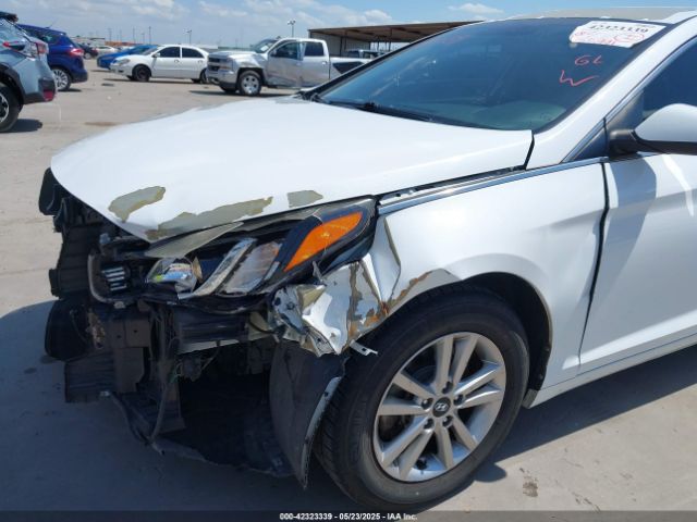 5NPE24AFXGH393836 Hyundai Sonata