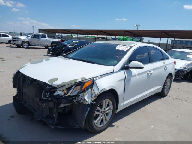 5NPE24AFXGH393836 Hyundai Sonata