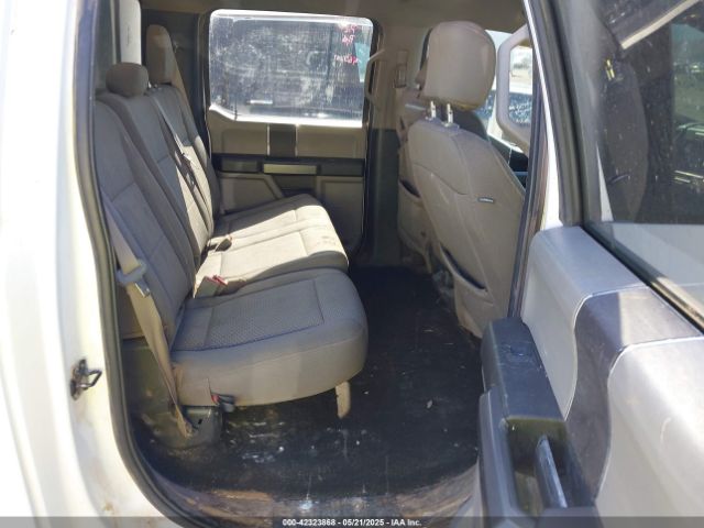 1FTFW1E4XKKD39589 Ford F-150 Xlt
