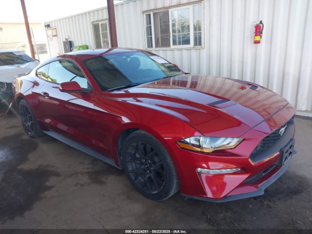 2019 FORD MUSTANG 1FA6P8TH6K5186130 Photo 0