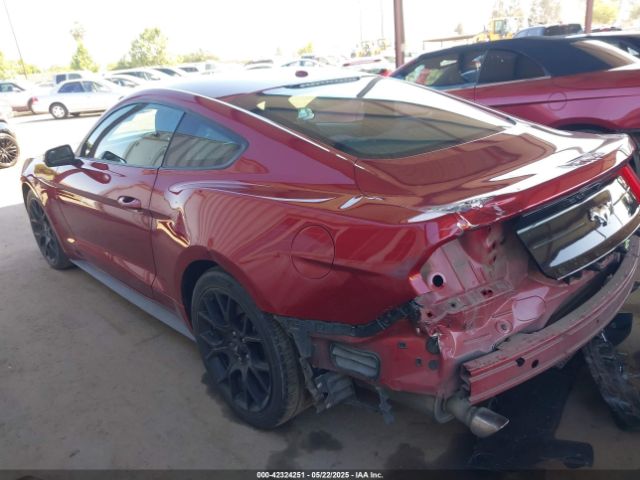 2019 FORD MUSTANG 1FA6P8TH6K5186130 Photo 2