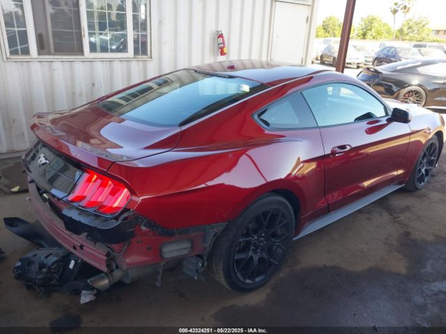 2019 FORD MUSTANG 1FA6P8TH6K5186130 Photo 3