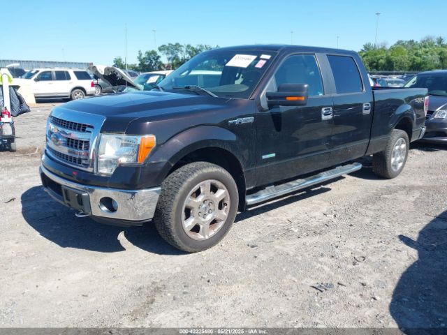 1FTFW1ET7EFB75352 Ford F-150 Xlt