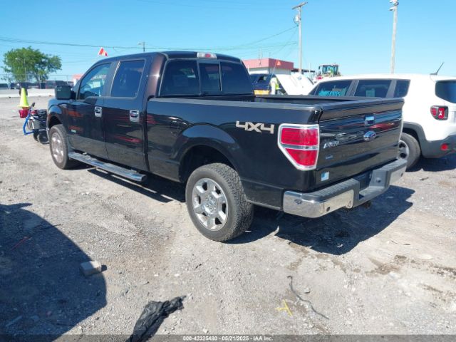 1FTFW1ET7EFB75352 Ford F-150 Xlt