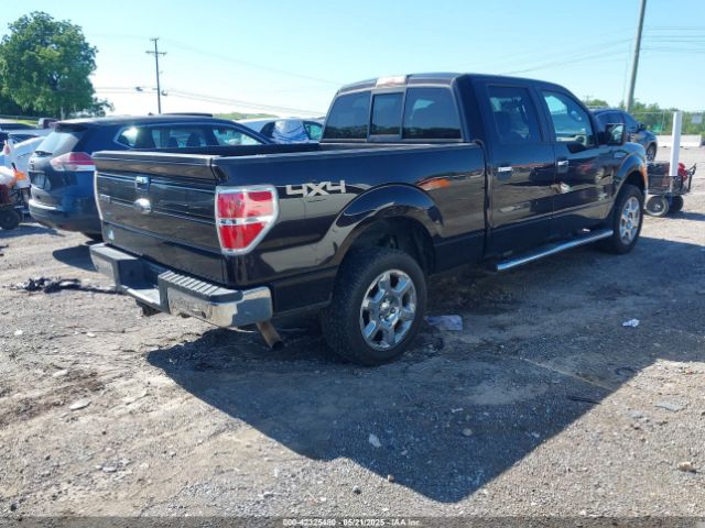 1FTFW1ET7EFB75352 Ford F-150 Xlt