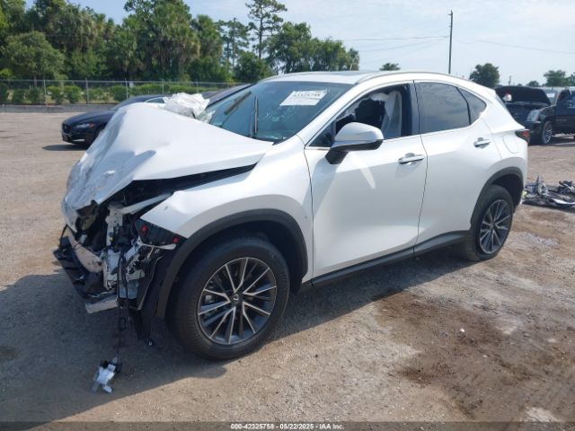 2025 LEXUS NX 250 2T2GDCAZ0SC017127 Photo 1