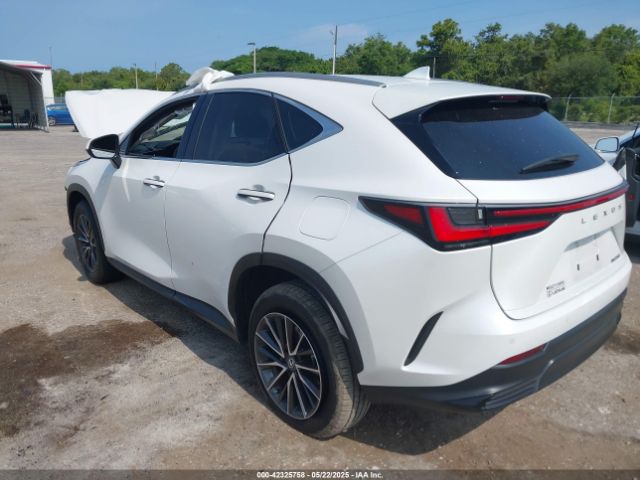 2025 LEXUS NX 250 2T2GDCAZ0SC017127 Photo 2