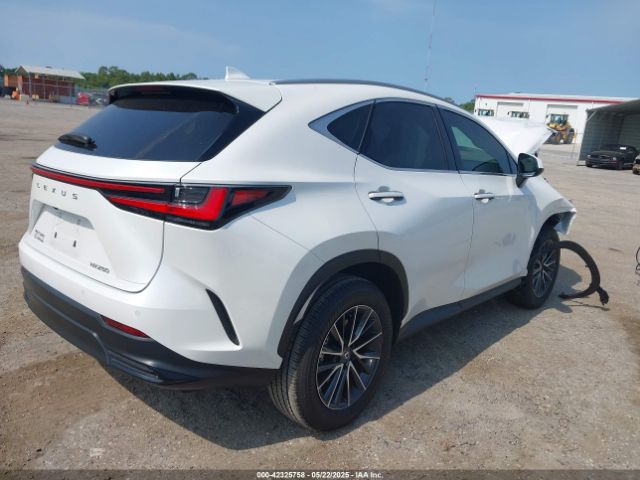 2025 LEXUS NX 250 2T2GDCAZ0SC017127 Photo 3
