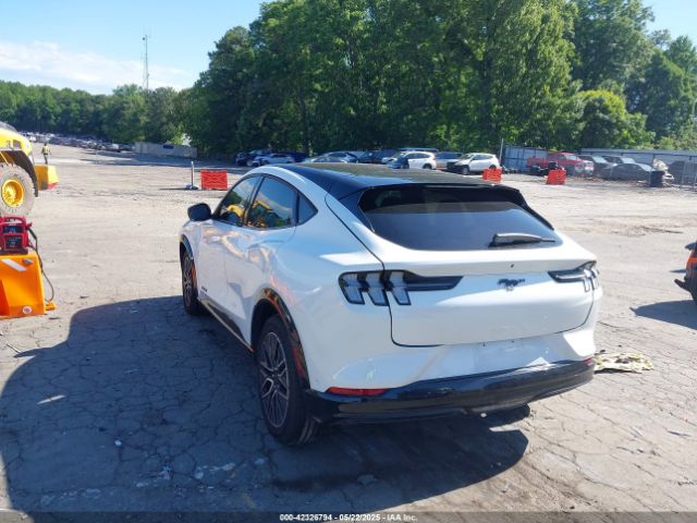 2024 FORD MUSTANG MACH-E 3FMTK3SU3RMA36196 Photo 2