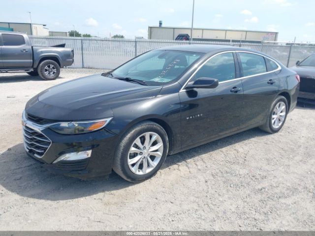 2019 CHEVROLET MALIBU 1G1ZD5ST7KF162121 Photo 1