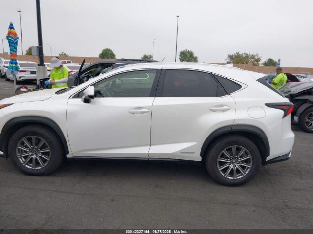 JTJBJRBZ6J2083510 Lexus NX 300H