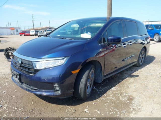 2022 HONDA ODYSSEY 5FNRL6H50NB000347 Photo 1
