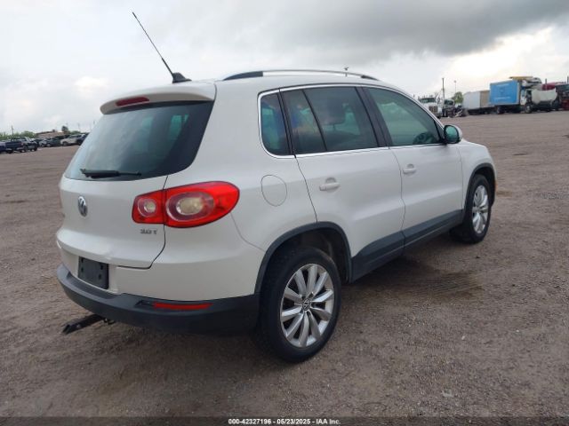 2011 VOLKSWAGEN TIGUAN WVGAV7AX8BW555798 Photo 3