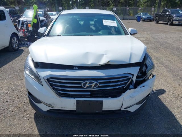5NPE24AF9HH515295 Hyundai Sonata