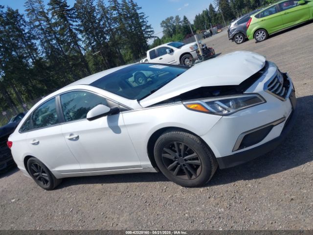 5NPE24AF9HH515295 Hyundai Sonata