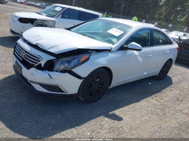 5NPE24AF9HH515295 Hyundai Sonata