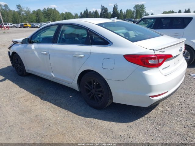 5NPE24AF9HH515295 Hyundai Sonata