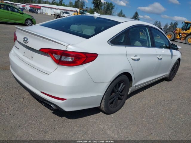 5NPE24AF9HH515295 Hyundai Sonata